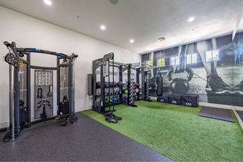 A gym with a green floor and a variety of equipment.
